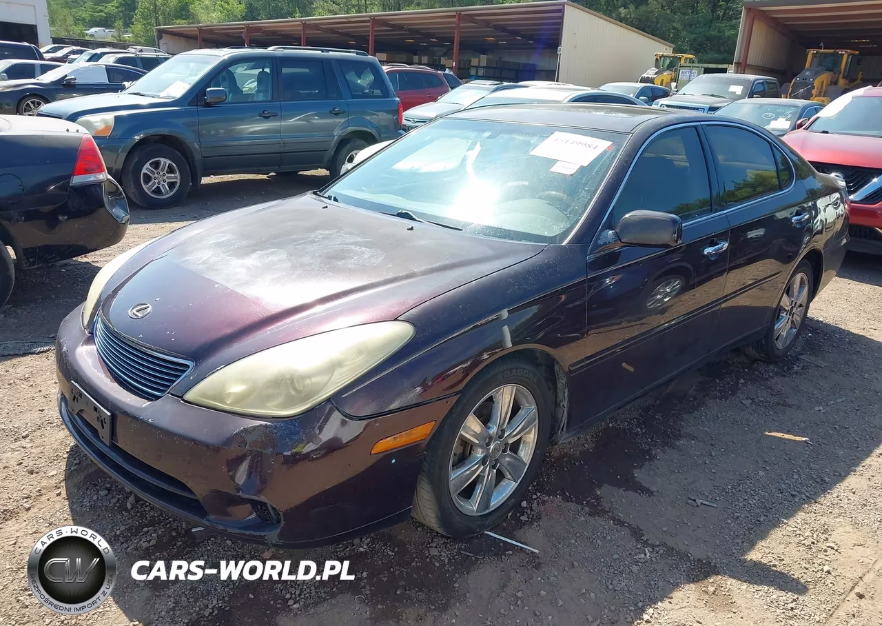 2005 Lexus Es 330 VIN:JTHBA30G155058552 - 2