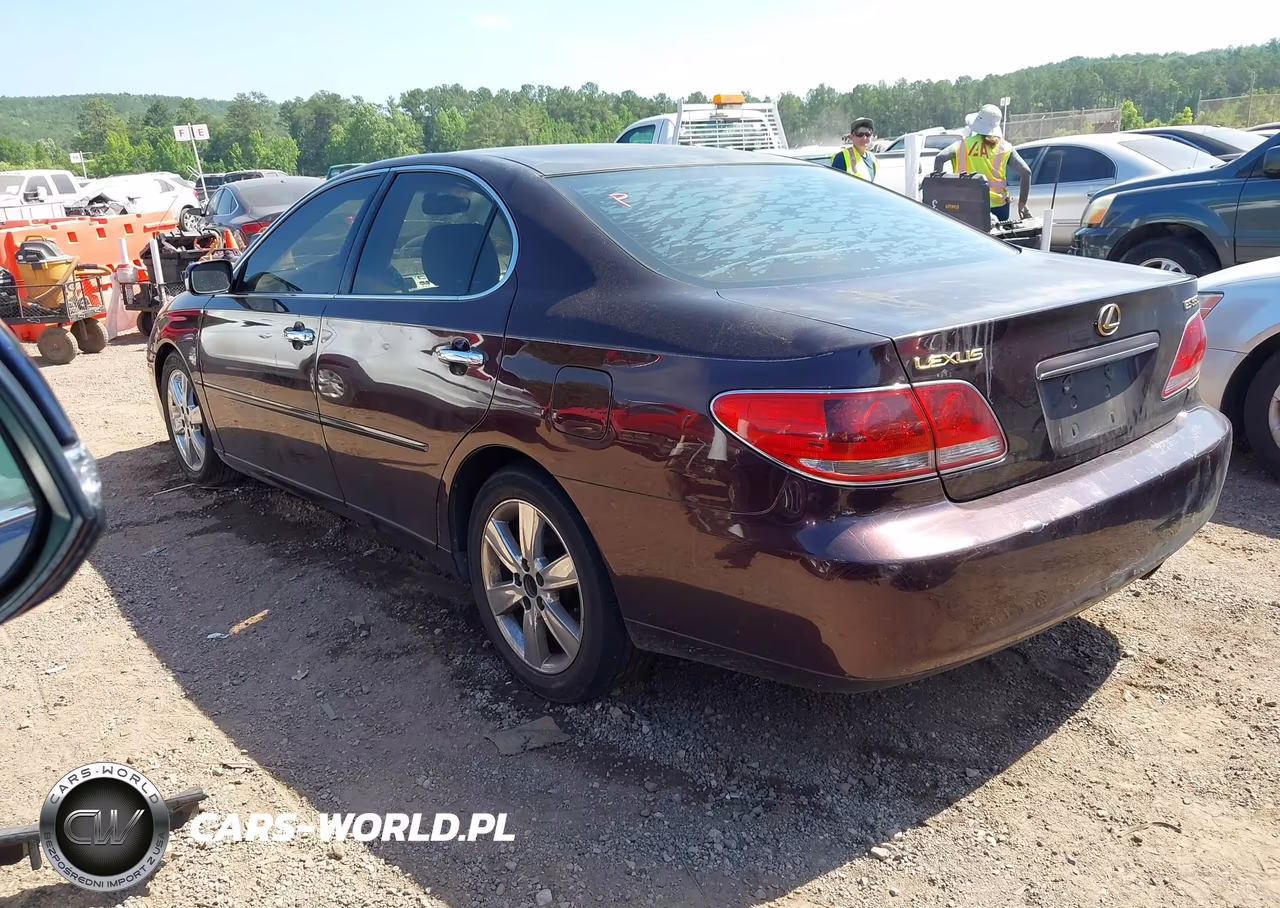 2005 Lexus Es 330 VIN:JTHBA30G155058552 - 3