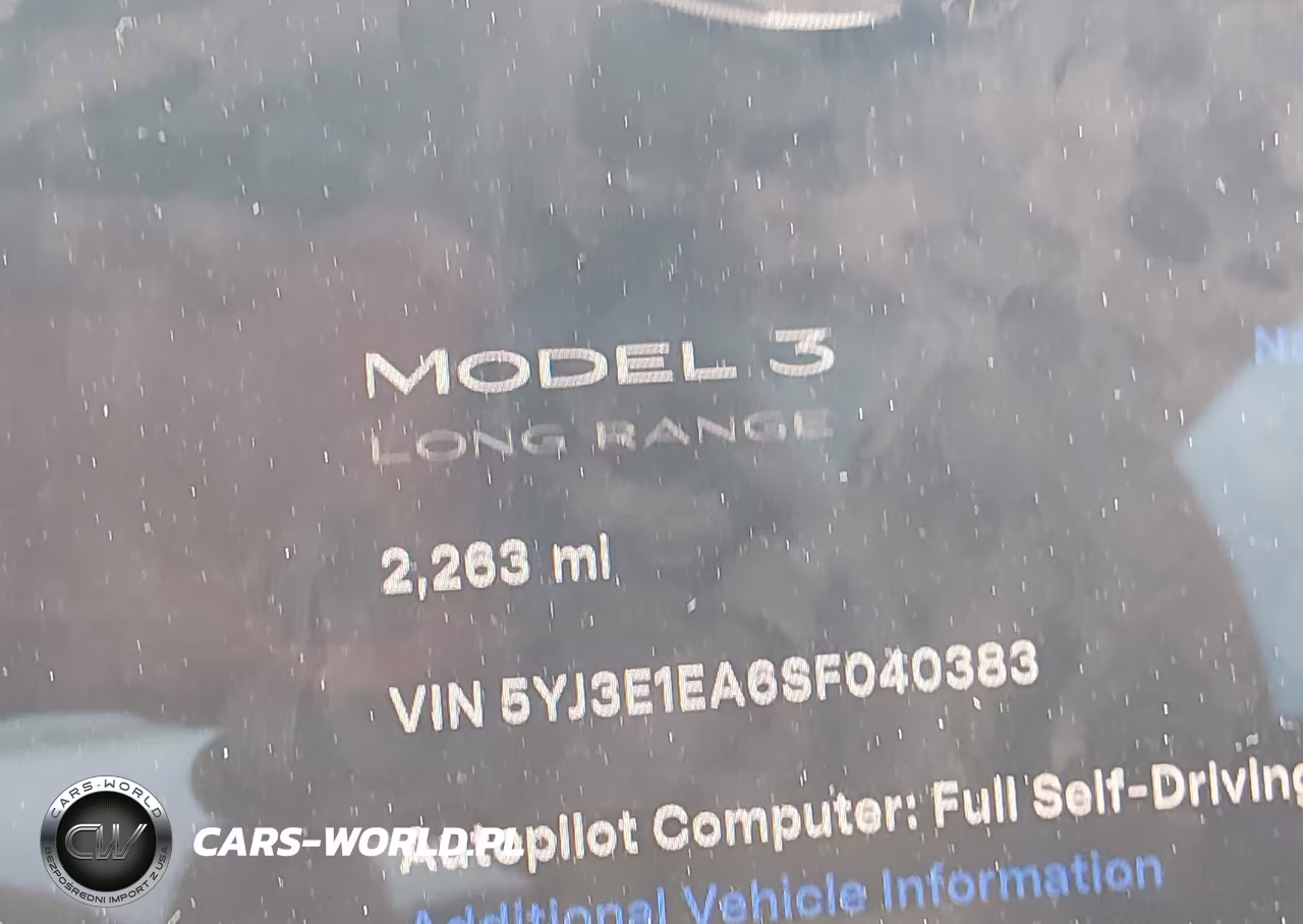 2025 Tesla Model 3 Long Range Rear-Wheel Drive-Standard Rear-Wheel Drive VIN:5YJ3E1EA6SF040383 - 16