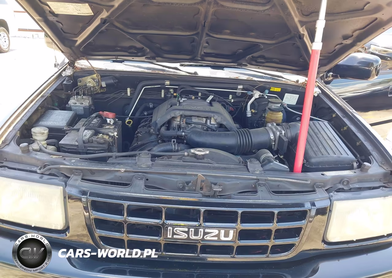 1998 Isuzu Rodeo Ls-S VIN:4S2CK58W4W4367972 - 10