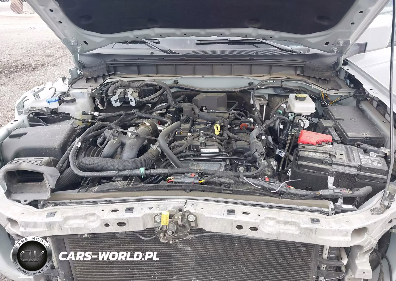 2024 Ford Bronco Outer Banks VIN:1FMDE8BH6RLB37603 - 10