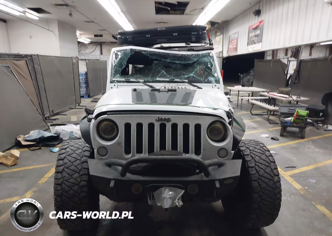 2016 Jeep Wrangler Unlimited Rubicon VIN:1C4BJWFG8GL146510 - 12
