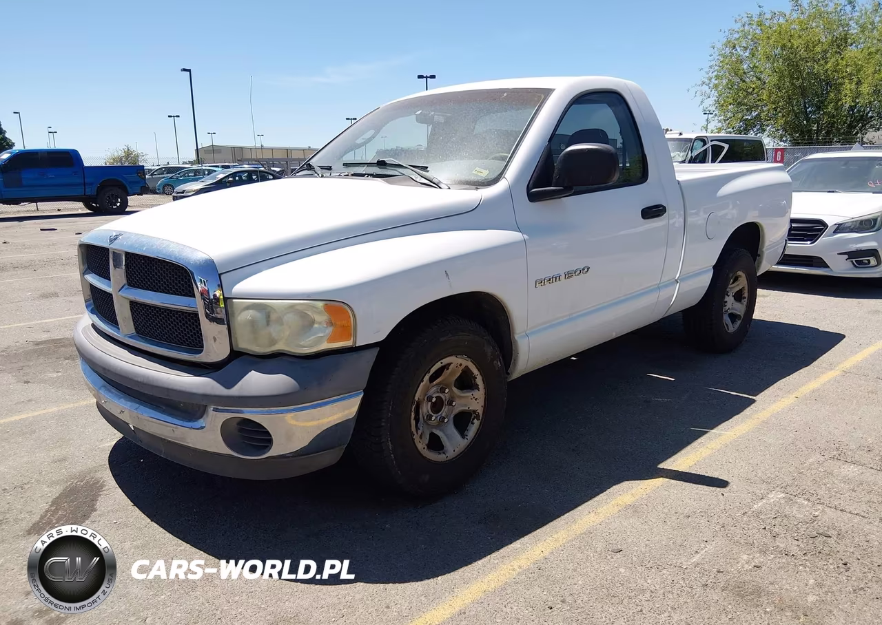 2002 Dodge Ram 1500 St VIN:1D7HA16N92J183491 - 2