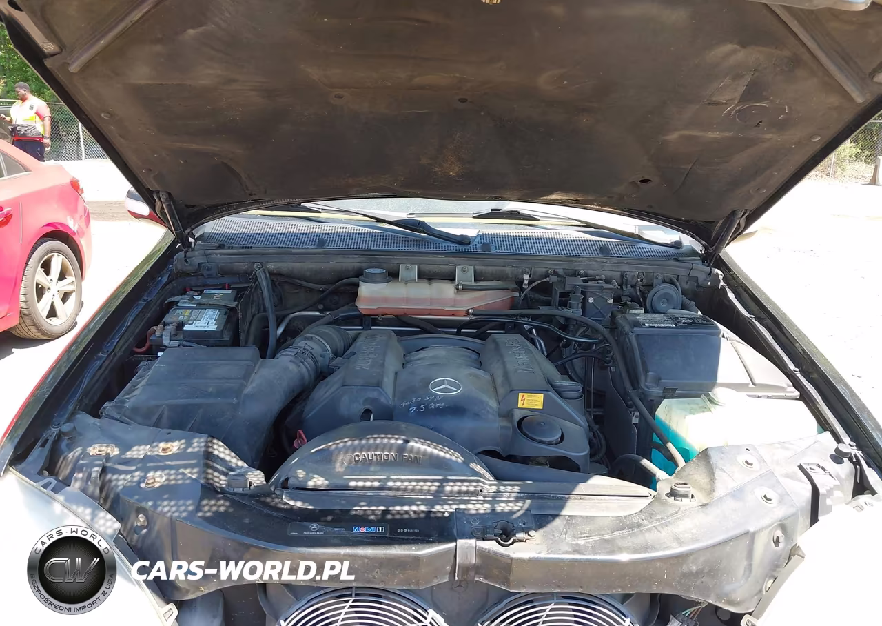 2002 Mercedes-Benz Ml 320 VIN:4JGAB54E42A342285 - 10