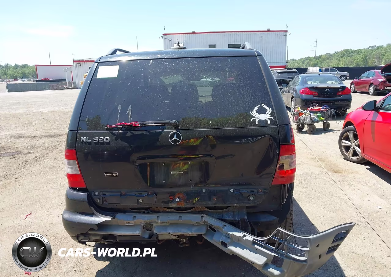 2002 Mercedes-Benz Ml 320 VIN:4JGAB54E42A342285 - 16