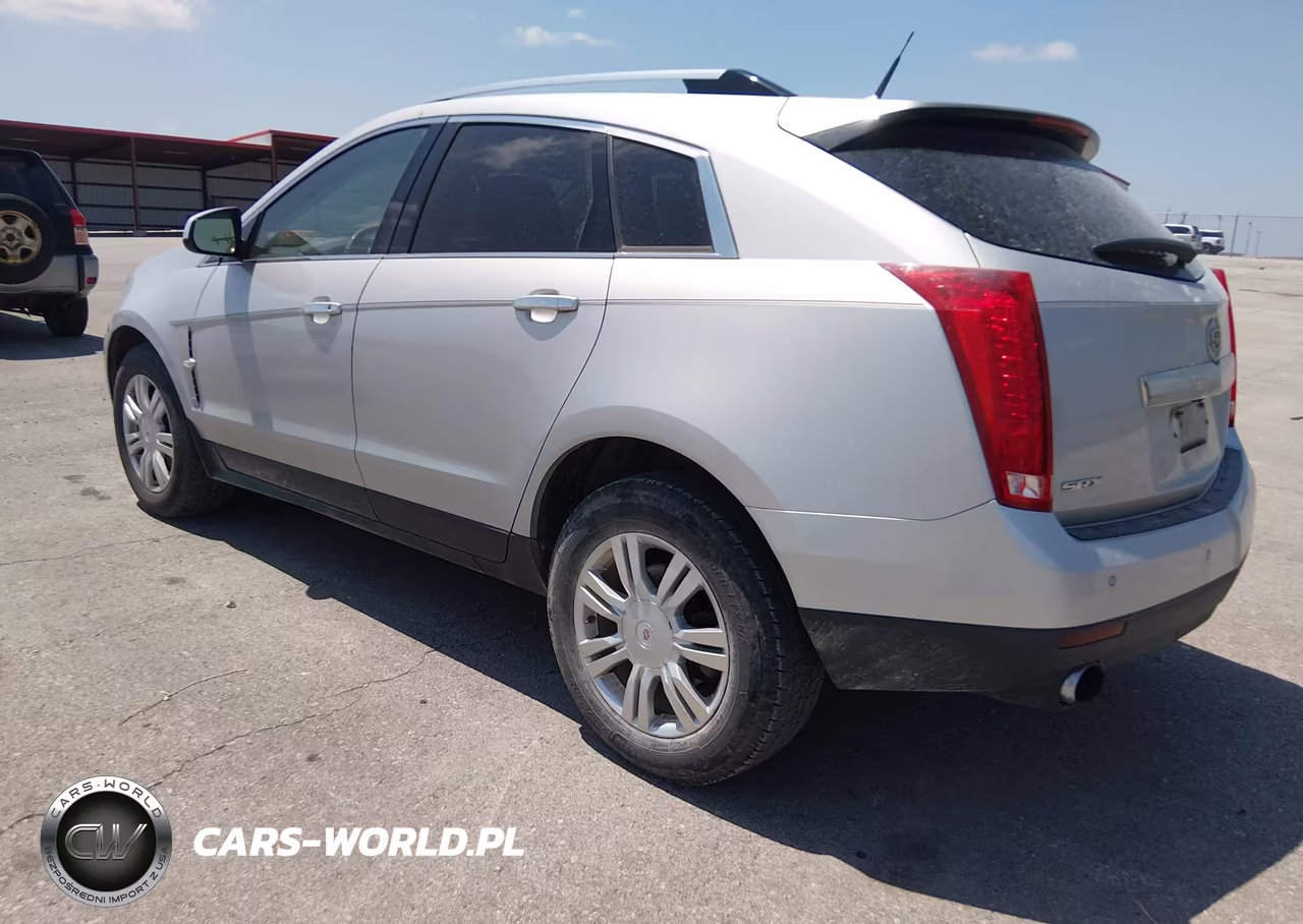 2010 Cadillac Srx Luxury Collection VIN:3GYFNAEY4AS554176 - 3