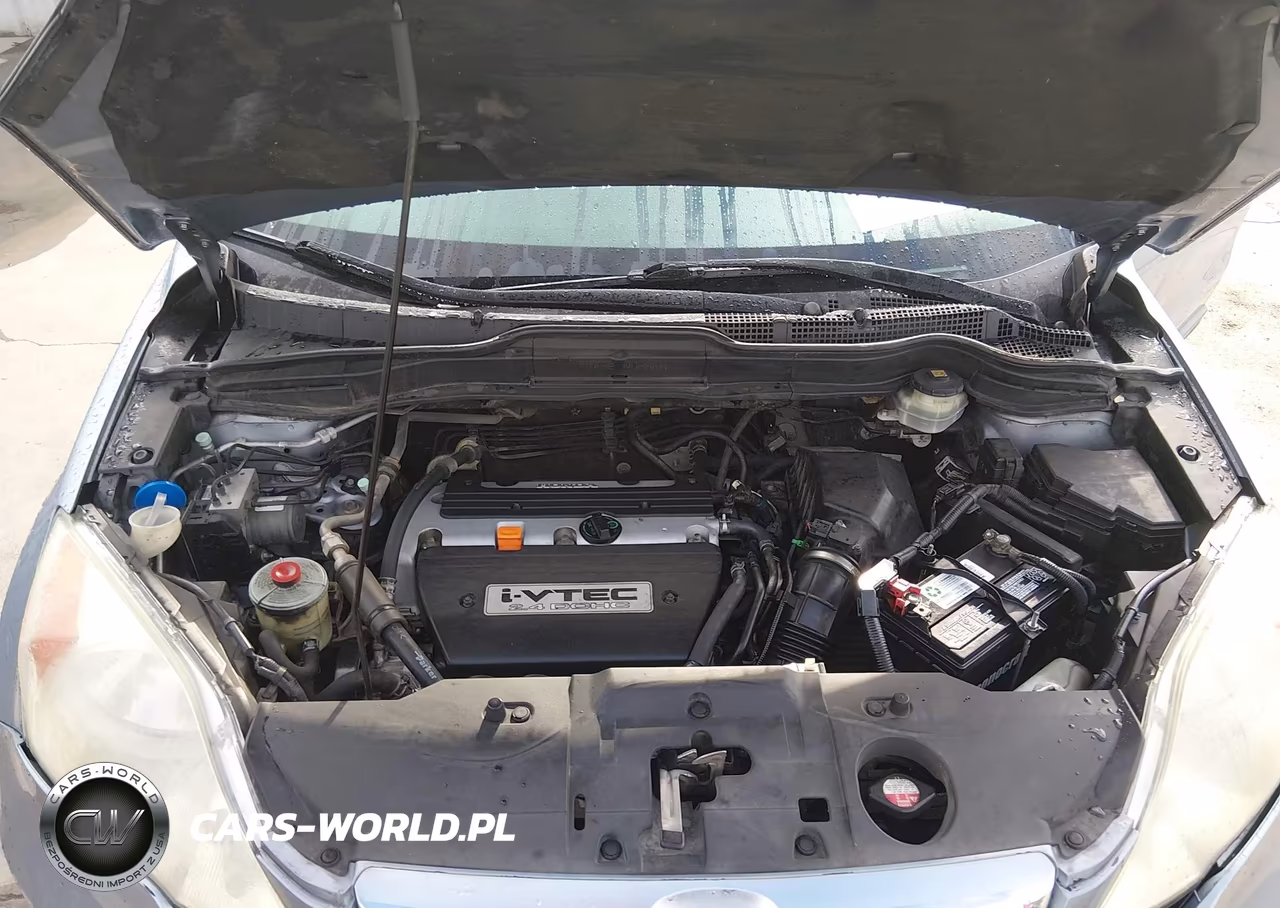 2009 Honda Cr-V Ex-L VIN:5J6RE38749L021399 - 10