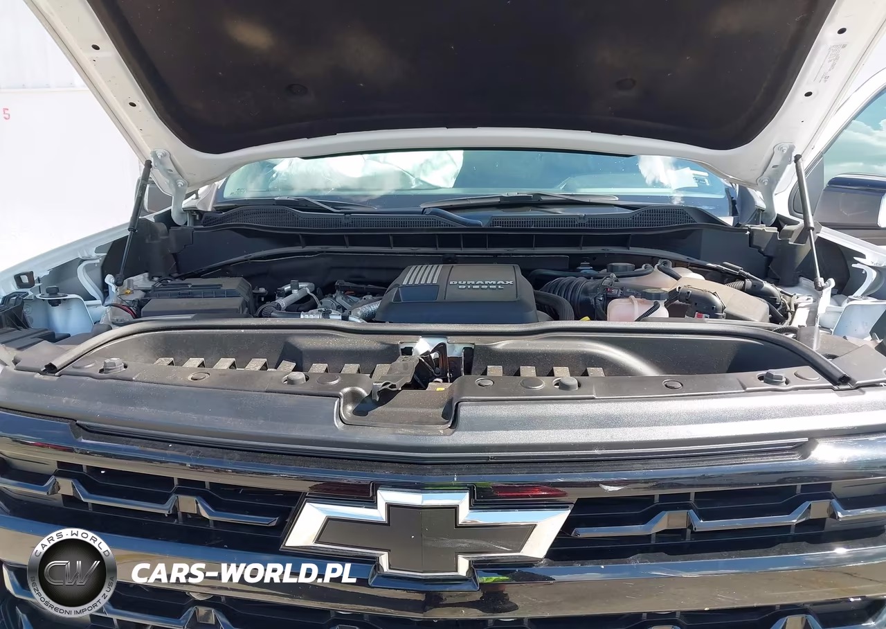 2024 Chevrolet Silverado 1500 4Wd Short Bed Lt Trail Boss VIN:3GCUDFE81RG180380 - 10