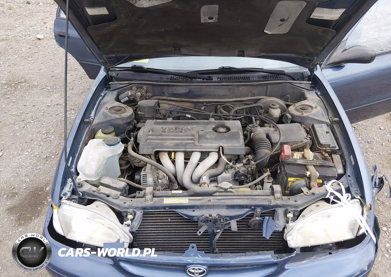 2000 Toyota Corolla Ce VIN:1NXBR12E4YZ310973 - 10