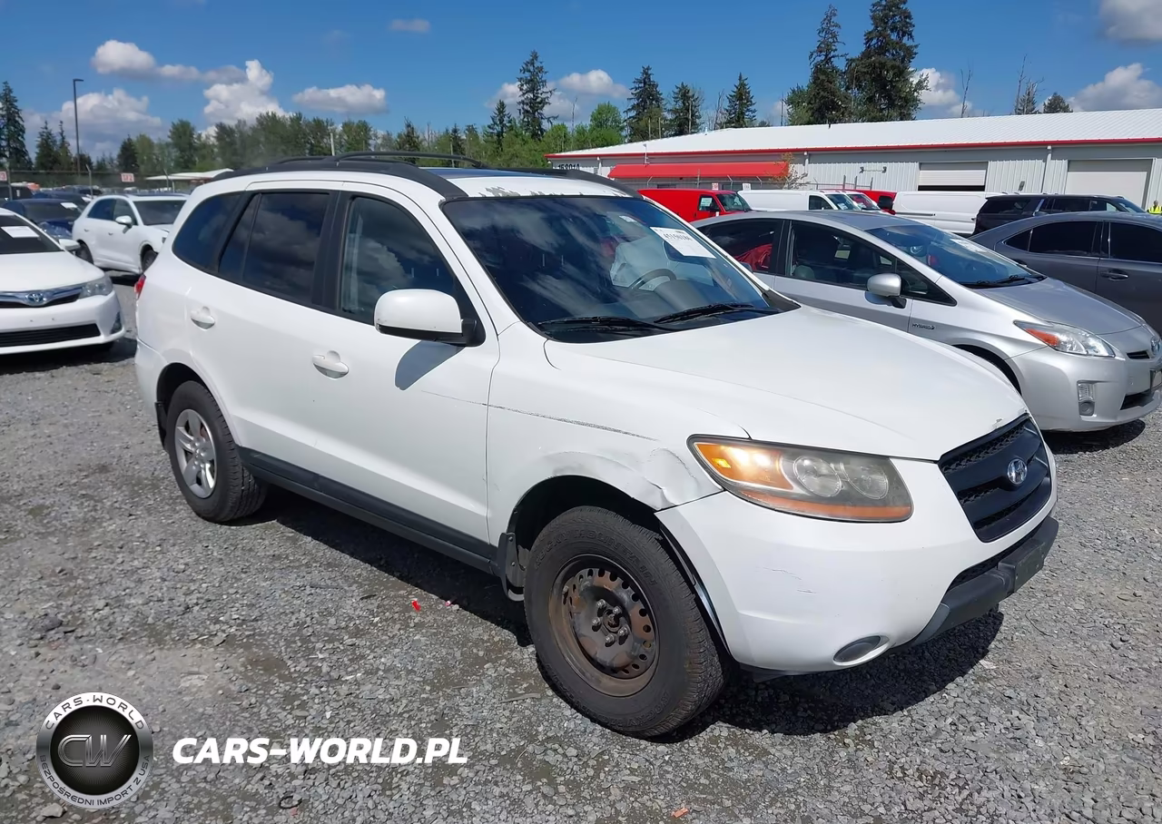 2009 Hyundai Santa Fe Gls