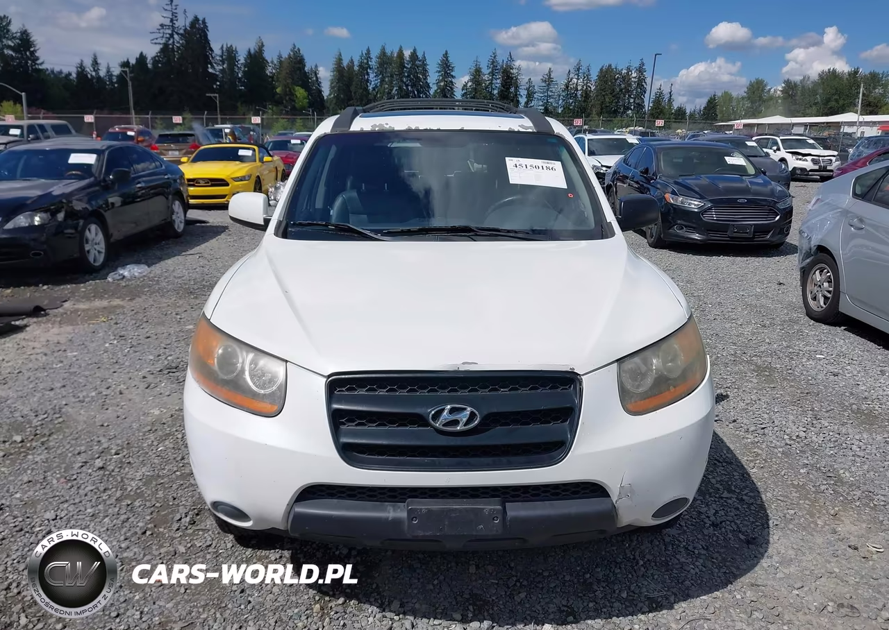 2009 Hyundai Santa Fe Gls VIN:5NMSG13D49H301702 - 12