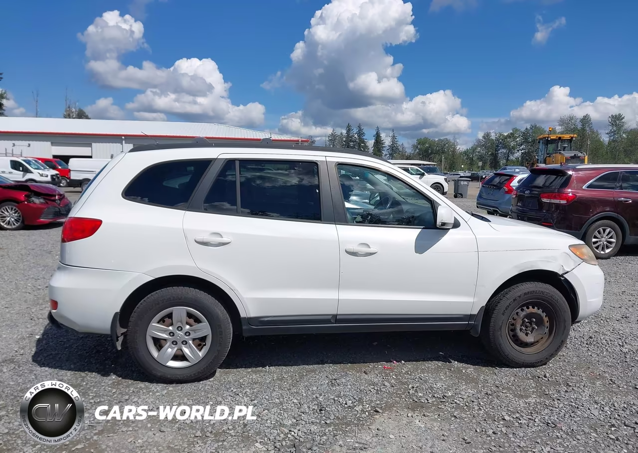 2009 Hyundai Santa Fe Gls VIN:5NMSG13D49H301702 - 13