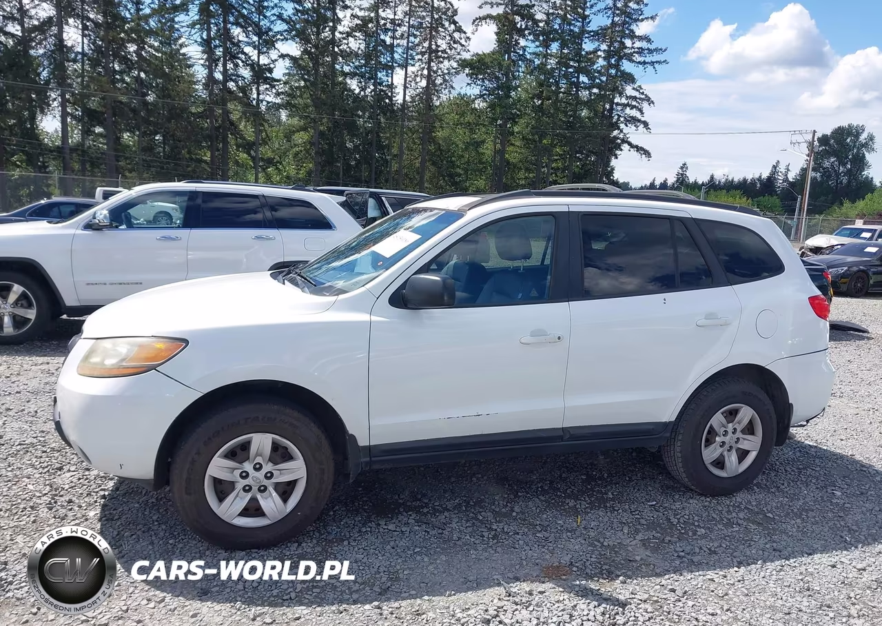 2009 Hyundai Santa Fe Gls VIN:5NMSG13D49H301702 - 14