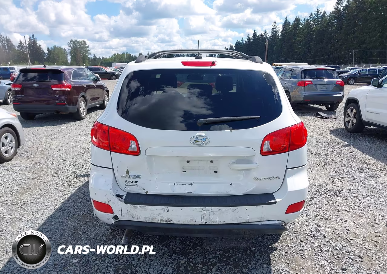 2009 Hyundai Santa Fe Gls VIN:5NMSG13D49H301702 - 16