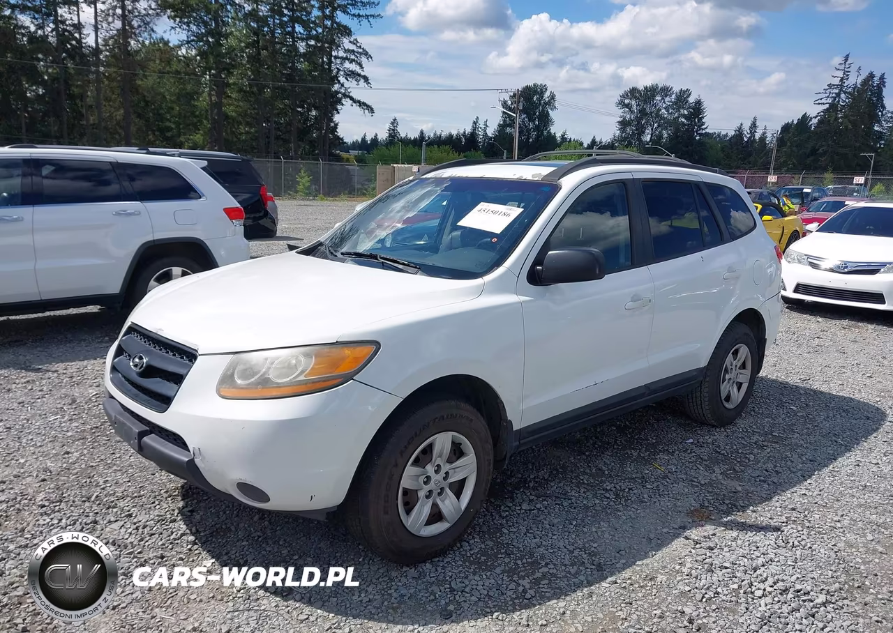 2009 Hyundai Santa Fe Gls VIN:5NMSG13D49H301702 - 2