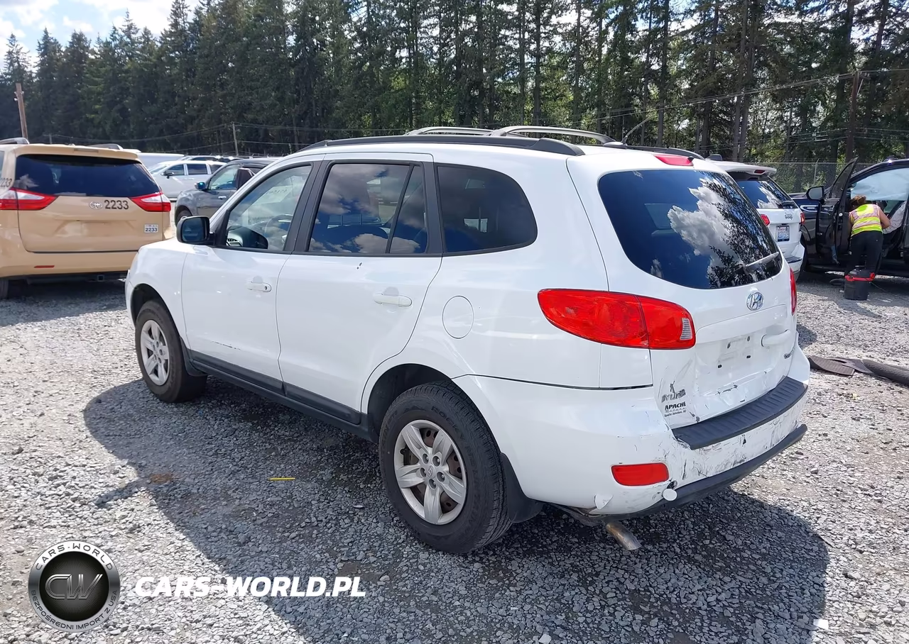 2009 Hyundai Santa Fe Gls VIN:5NMSG13D49H301702 - 3