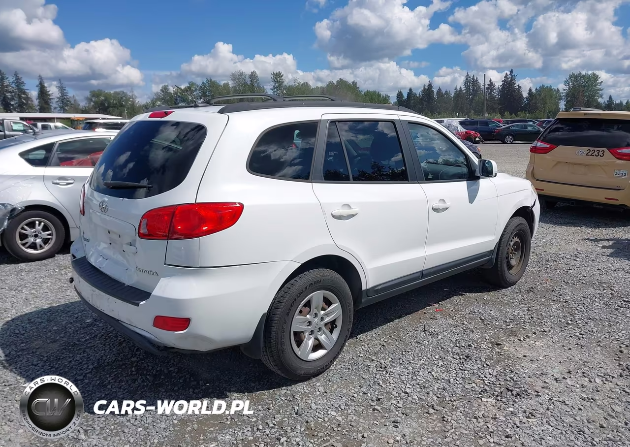 2009 Hyundai Santa Fe Gls VIN:5NMSG13D49H301702 - 4