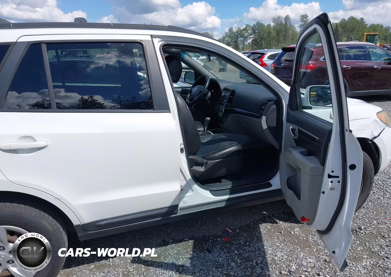 2009 Hyundai Santa Fe Gls VIN:5NMSG13D49H301702 - 5