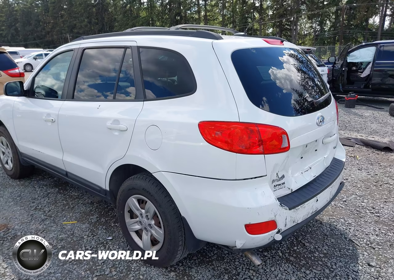 2009 Hyundai Santa Fe Gls VIN:5NMSG13D49H301702 - 6
