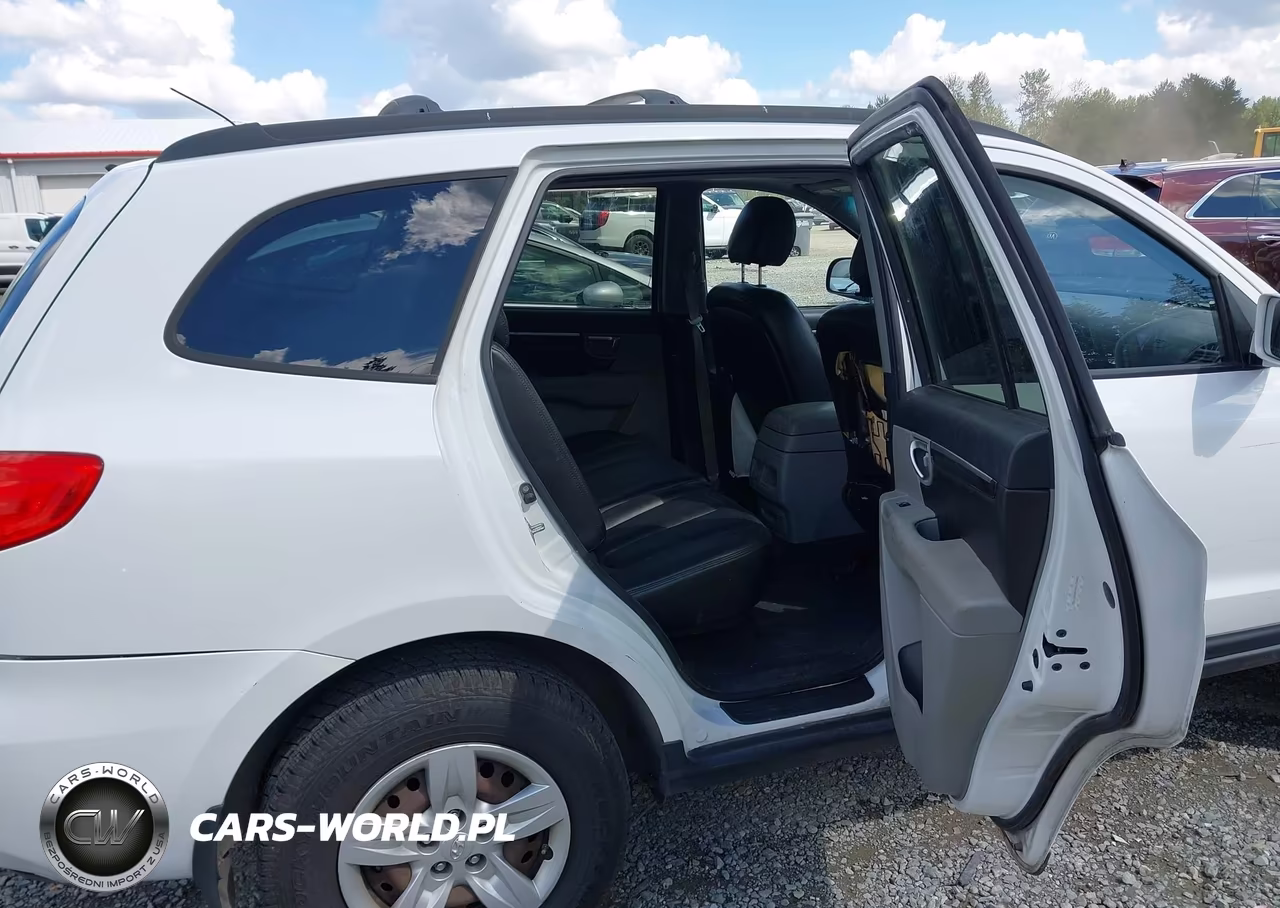 2009 Hyundai Santa Fe Gls VIN:5NMSG13D49H301702 - 8