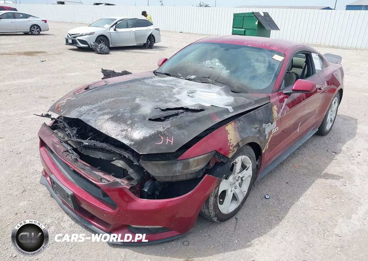 2016 Ford Mustang Gt VIN:1FA6P8CF9G5232698 - 2