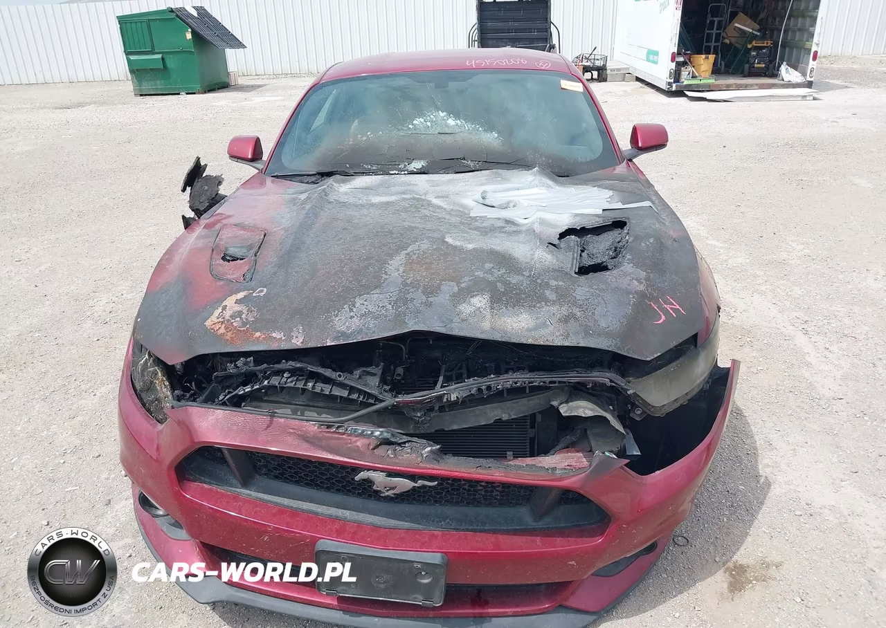 2016 Ford Mustang Gt VIN:1FA6P8CF9G5232698 - 6