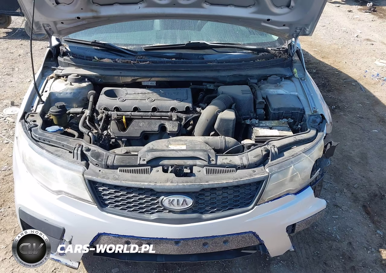 2010 Kia Forte Koup Ex VIN:KNAFU6A29A5205948 - 10