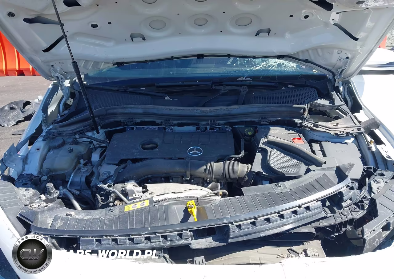 2021 Mercedes-Benz Gla 250 4Matic VIN:W1N4N4HB5MJ250665 - 10