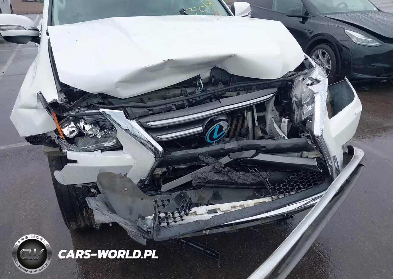 2019 Lexus Gx 460 Premium VIN:JTJBM7FX2K5210578 - 12