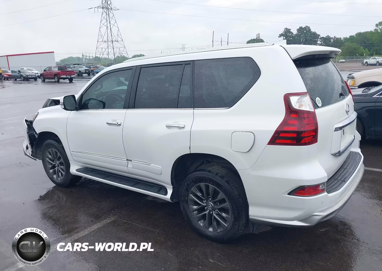 2019 Lexus Gx 460 Premium VIN:JTJBM7FX2K5210578 - 15