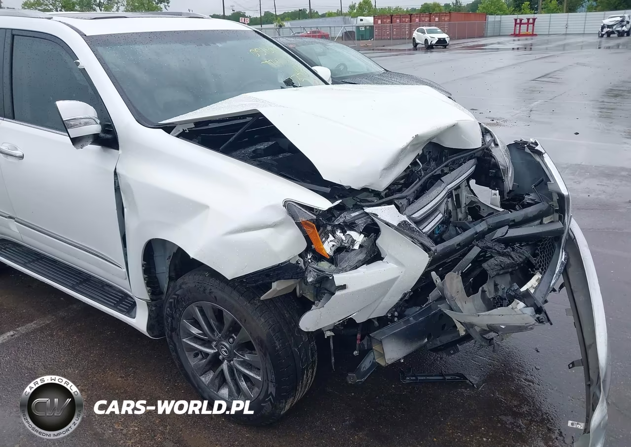 2019 Lexus Gx 460 Premium VIN:JTJBM7FX2K5210578 - 19