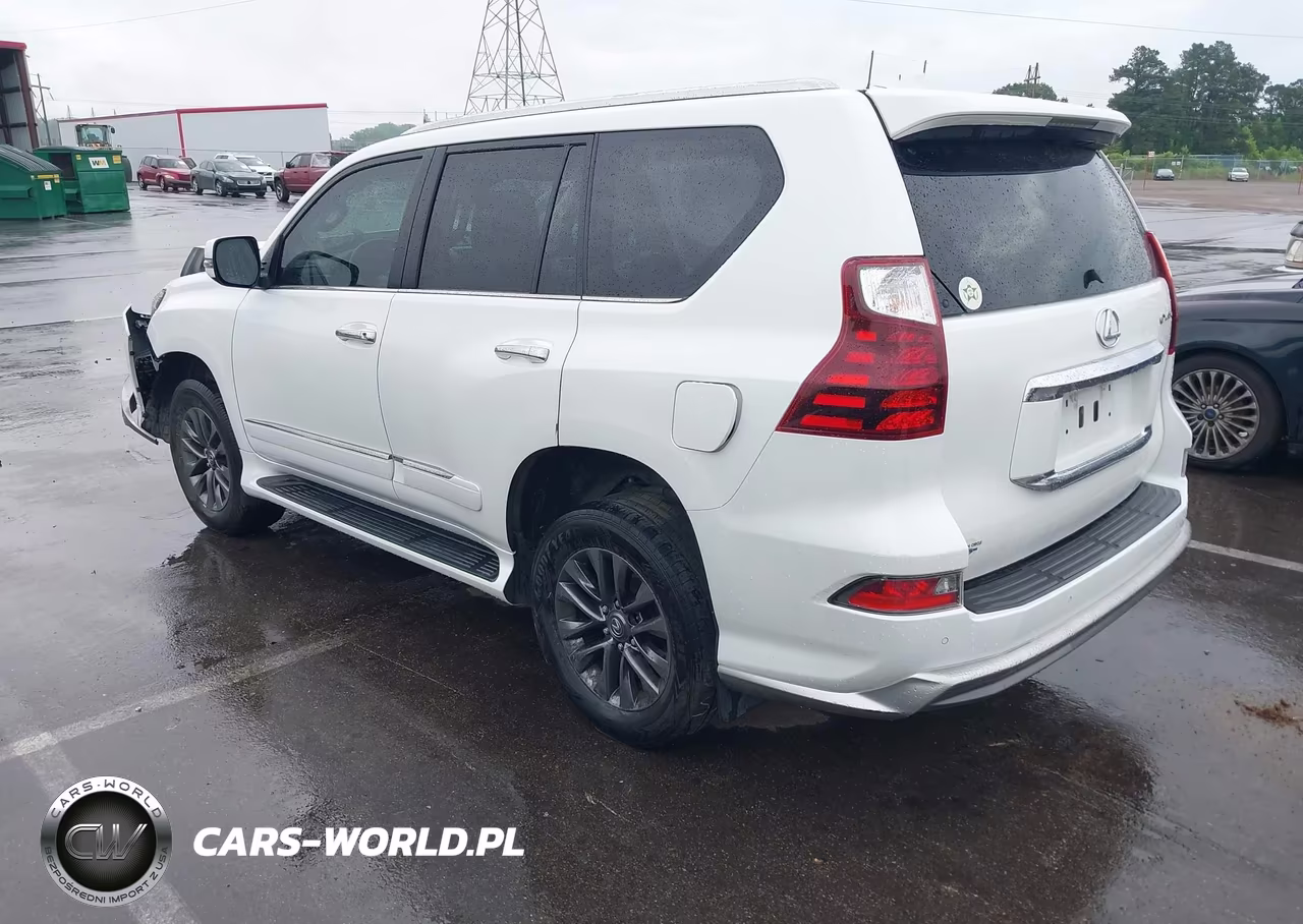 2019 Lexus Gx 460 Premium VIN:JTJBM7FX2K5210578 - 3