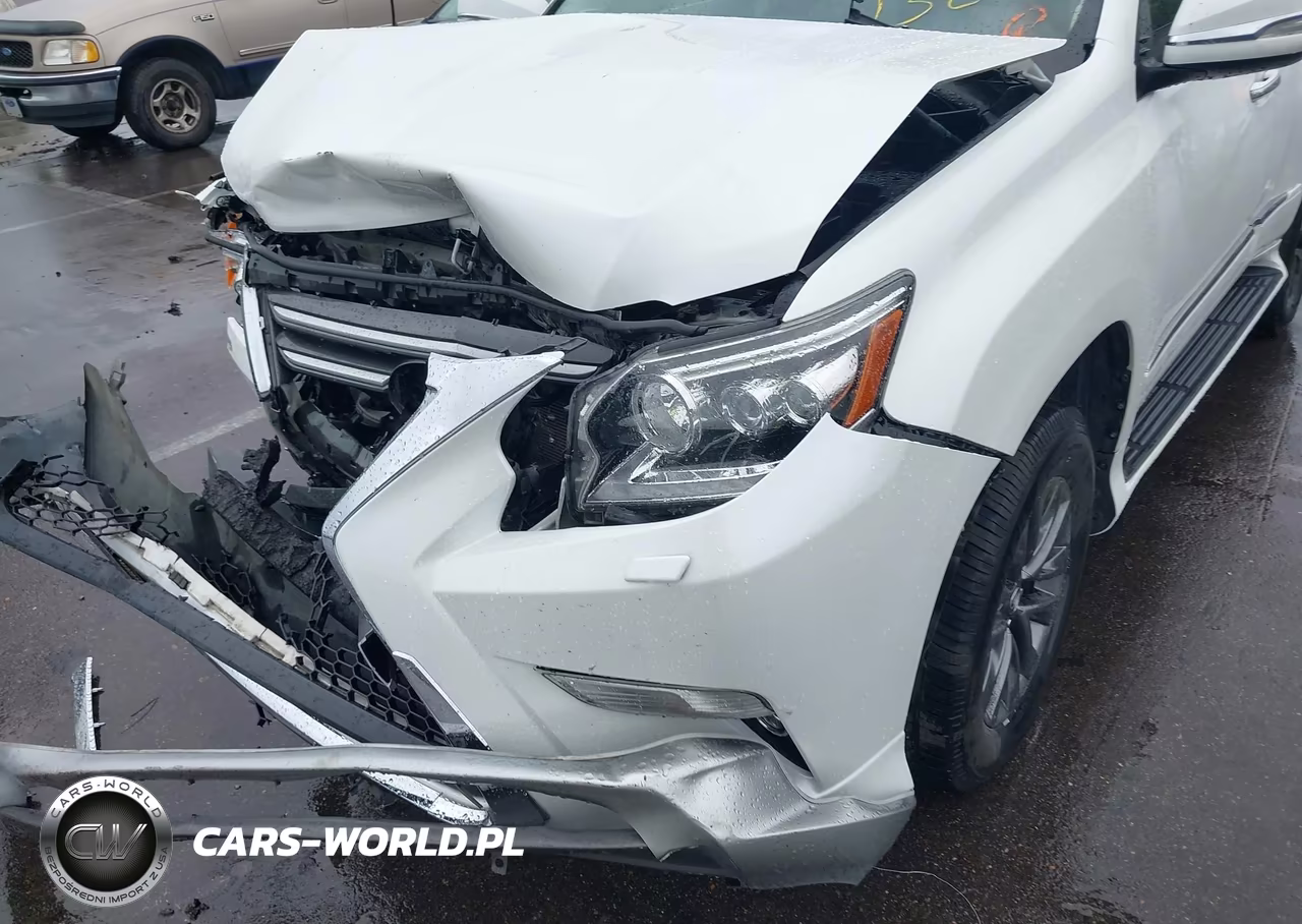2019 Lexus Gx 460 Premium VIN:JTJBM7FX2K5210578 - 6