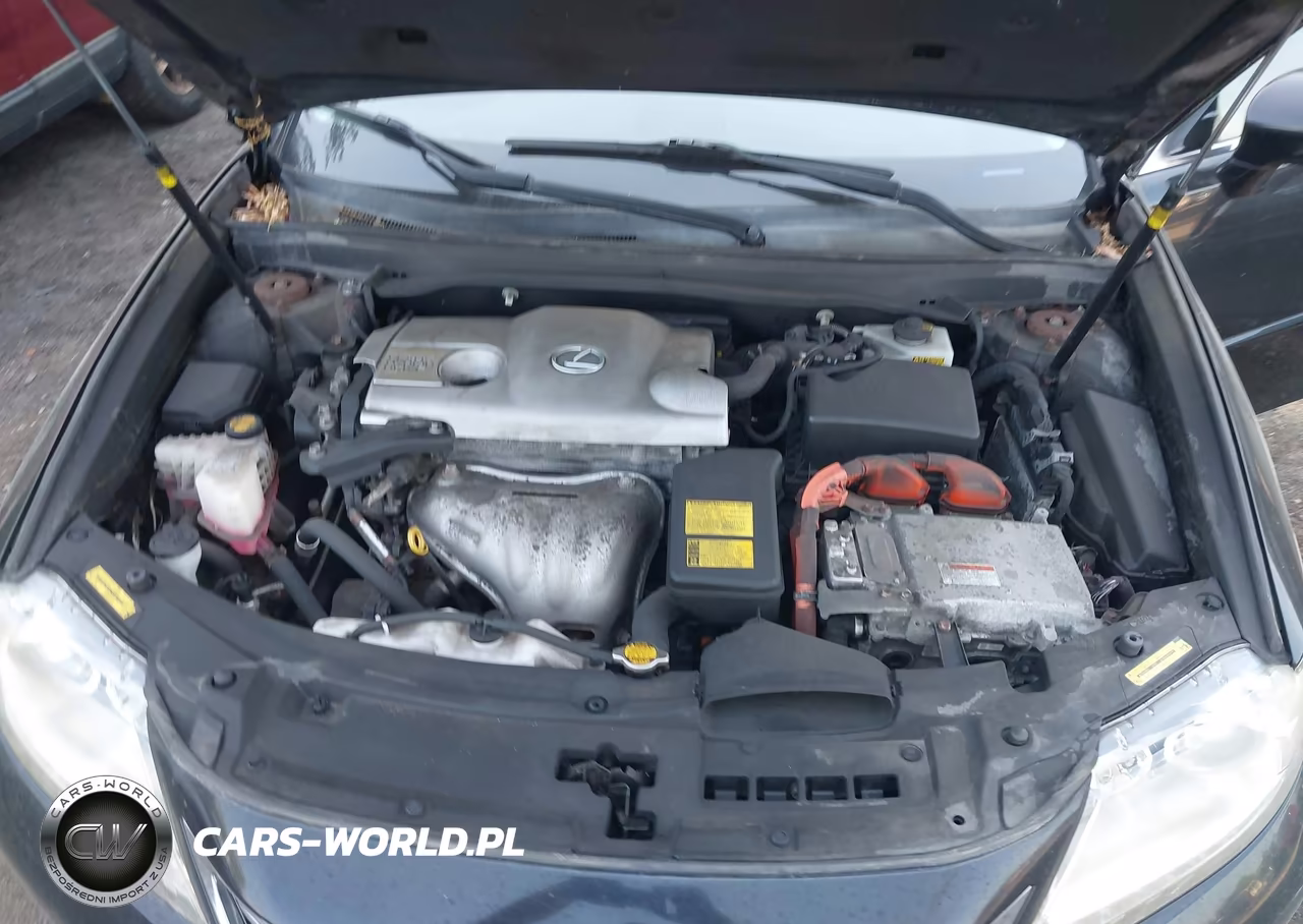 2013 Lexus Es 300H VIN:JTHBW1GG6D2005339 - 10