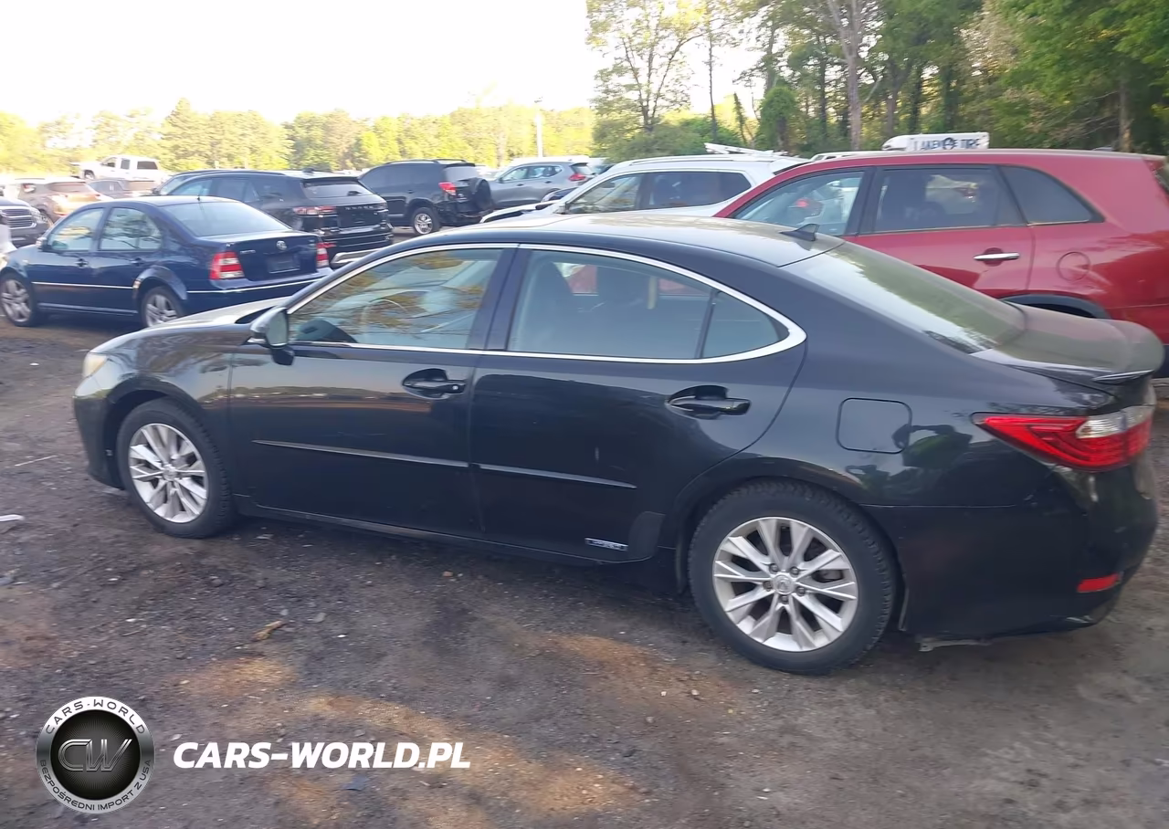 2013 Lexus Es 300H VIN:JTHBW1GG6D2005339 - 14
