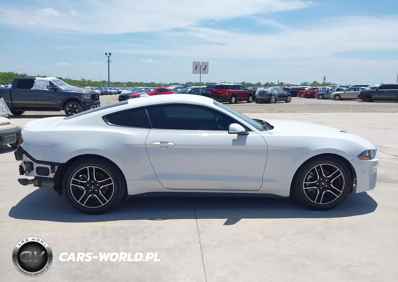 2022 Ford Mustang Ecoboost Premium Fastback VIN:1FA6P8TH8N5101258 - 13