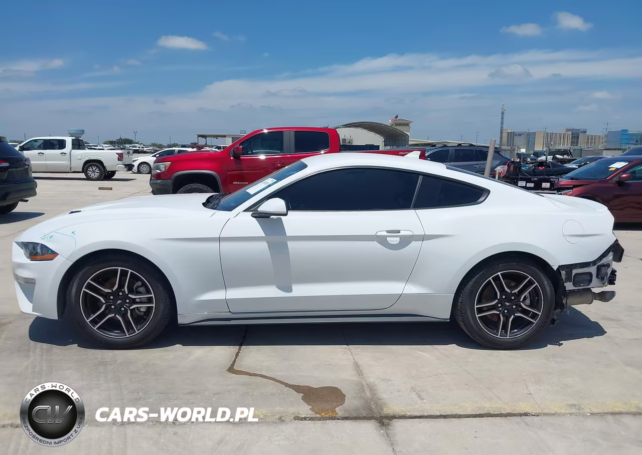 2022 Ford Mustang Ecoboost Premium Fastback VIN:1FA6P8TH8N5101258 - 14
