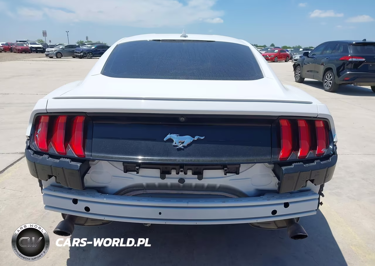 2022 Ford Mustang Ecoboost Premium Fastback VIN:1FA6P8TH8N5101258 - 16