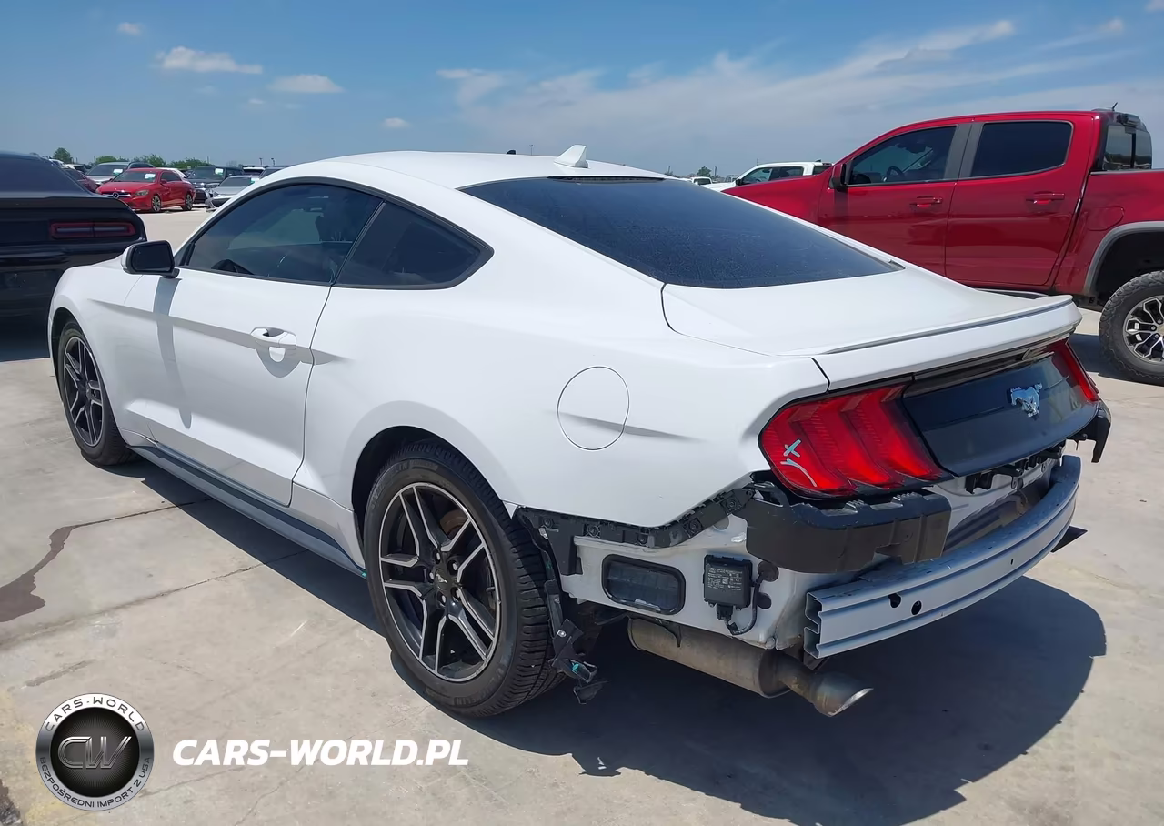 2022 Ford Mustang Ecoboost Premium Fastback VIN:1FA6P8TH8N5101258 - 3