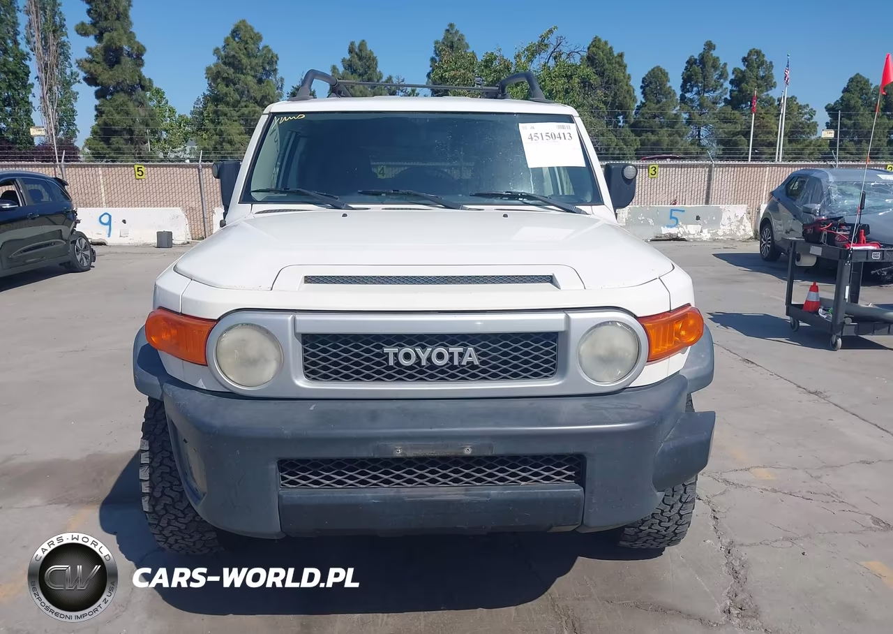 2010 Toyota Fj Cruiser VIN:JTEZU4BF4AK010486 - 12