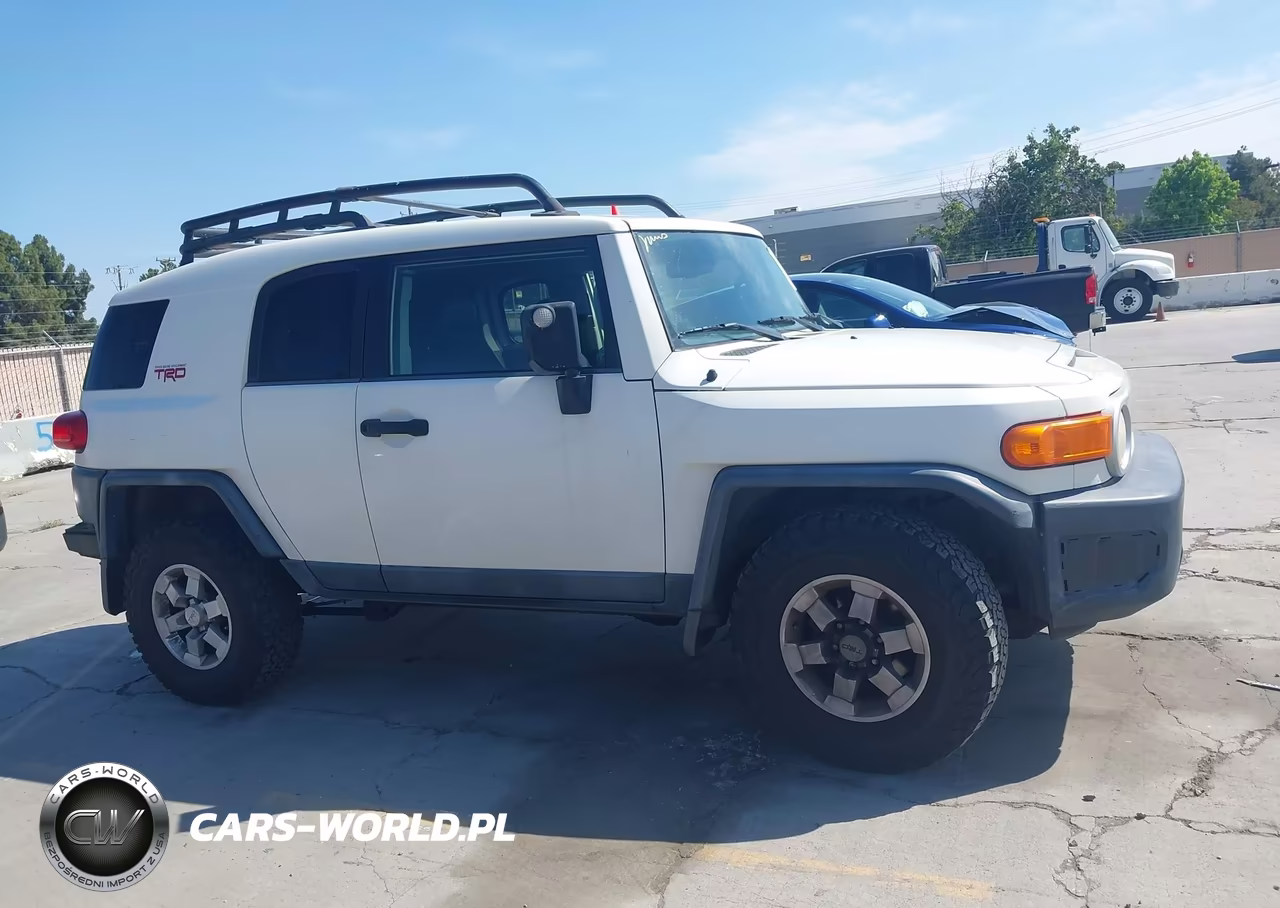 2010 Toyota Fj Cruiser VIN:JTEZU4BF4AK010486 - 13
