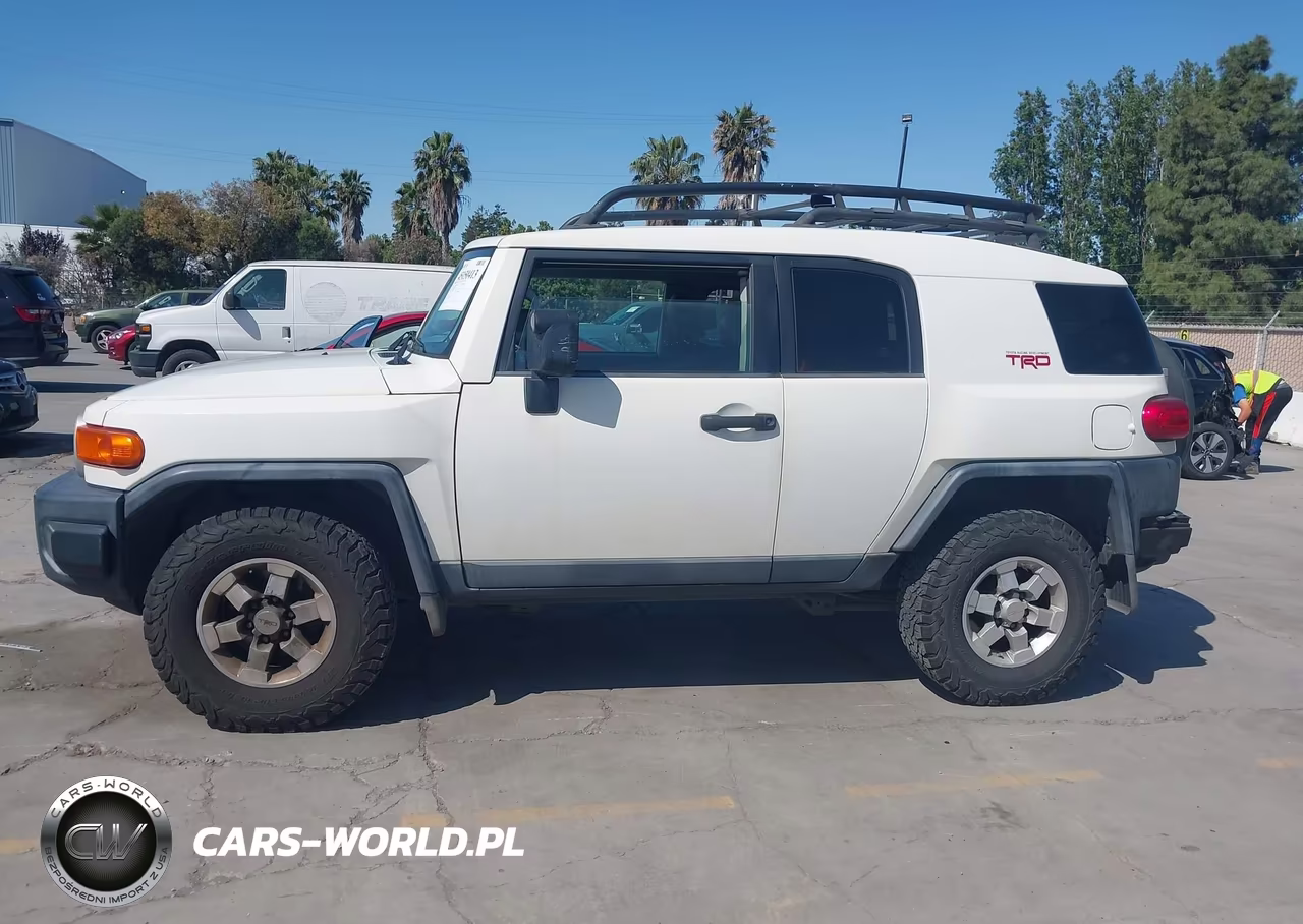 2010 Toyota Fj Cruiser VIN:JTEZU4BF4AK010486 - 14