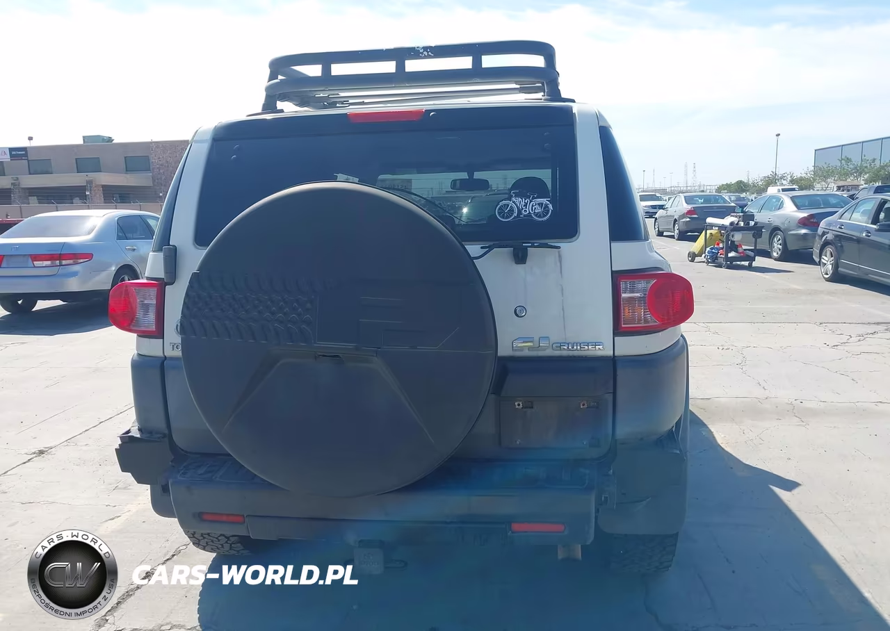 2010 Toyota Fj Cruiser VIN:JTEZU4BF4AK010486 - 16