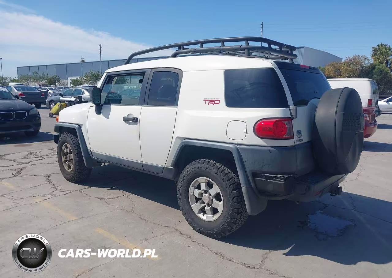 2010 Toyota Fj Cruiser VIN:JTEZU4BF4AK010486 - 3
