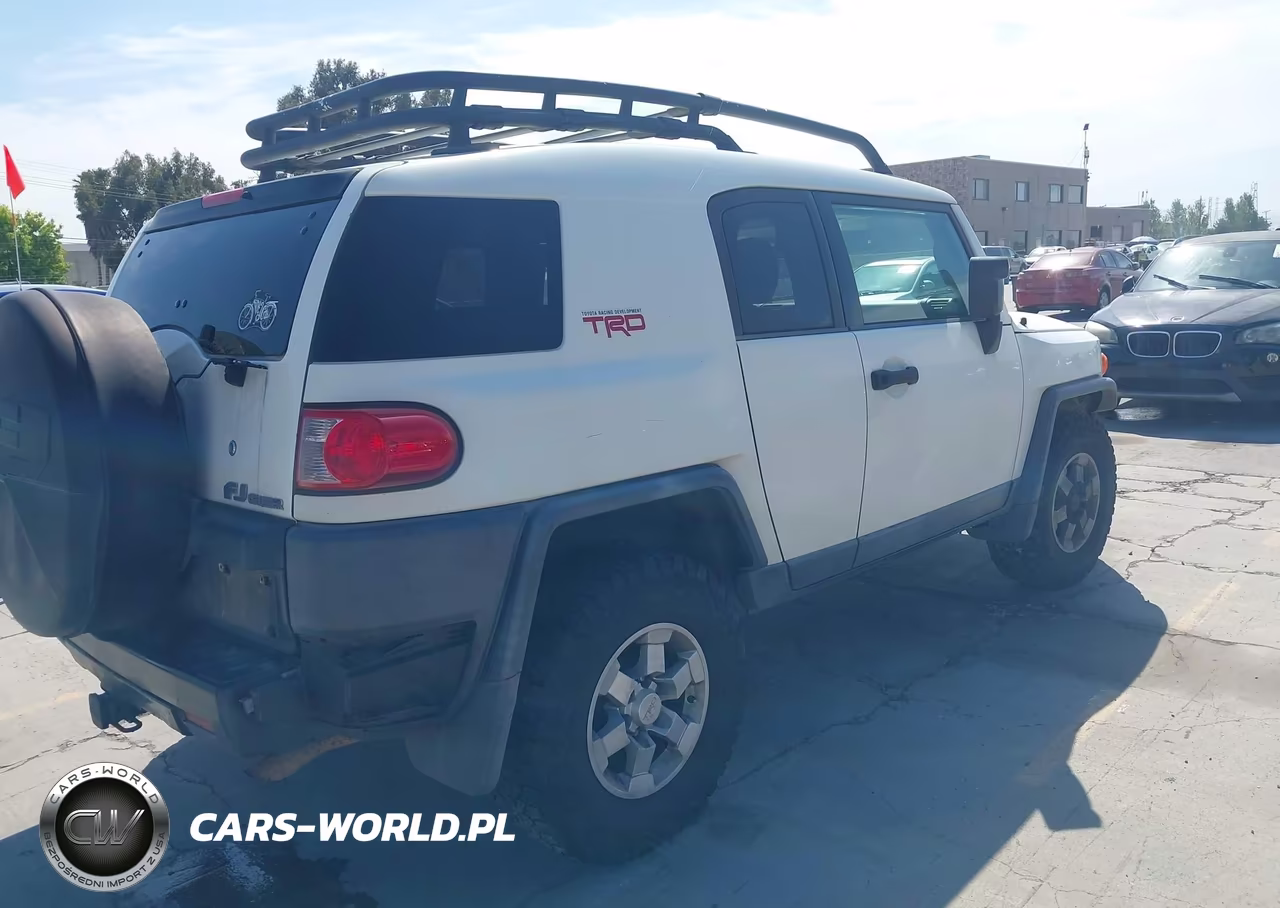 2010 Toyota Fj Cruiser VIN:JTEZU4BF4AK010486 - 4