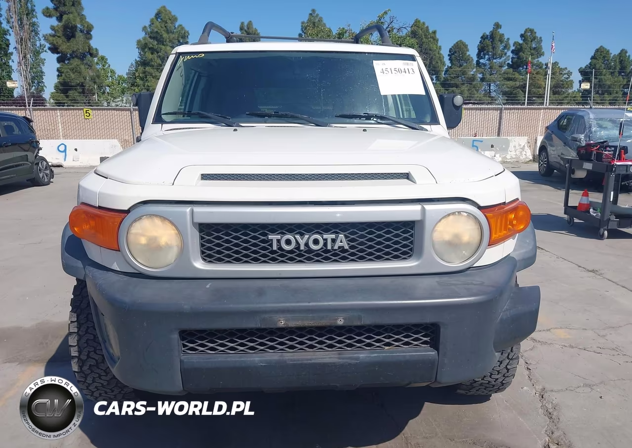2010 Toyota Fj Cruiser VIN:JTEZU4BF4AK010486 - 6