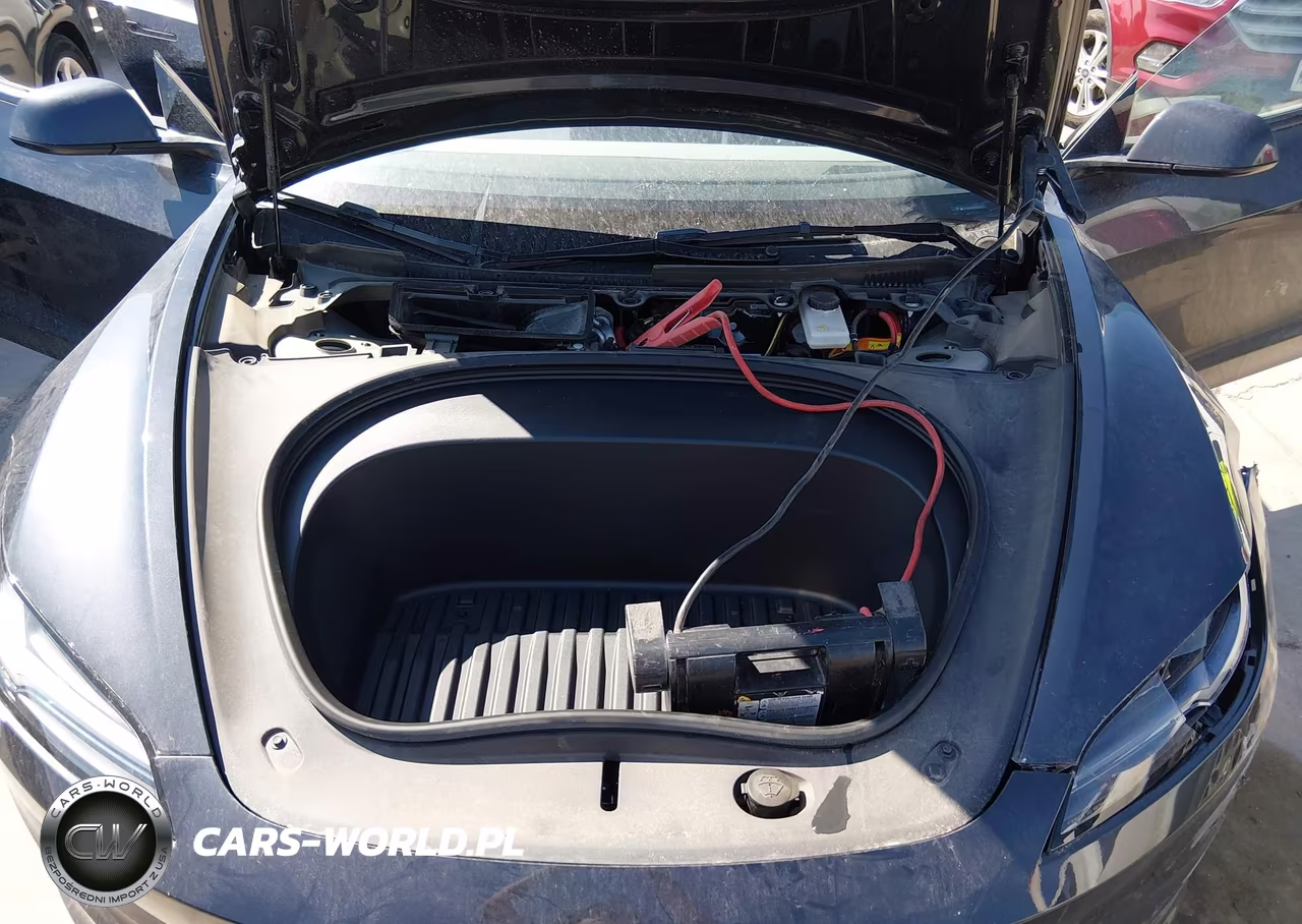 2025 Tesla Model 3 Long Range Rear-Wheel Drive-Standard Rear-Wheel Drive VIN:5YJ3E1EAXSF982792 - 10