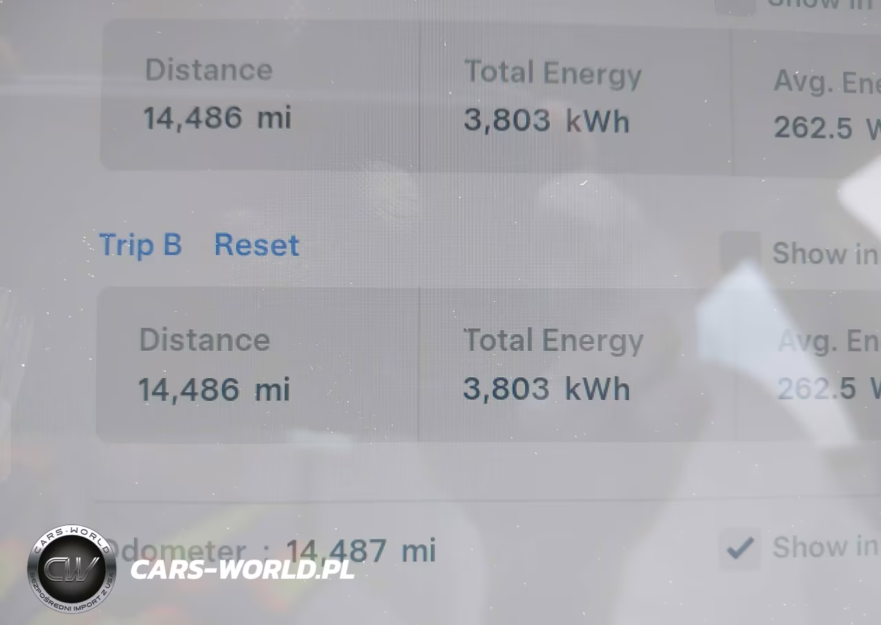 2025 Tesla Model 3 Long Range Rear-Wheel Drive-Standard Rear-Wheel Drive VIN:5YJ3E1EAXSF982792 - 15