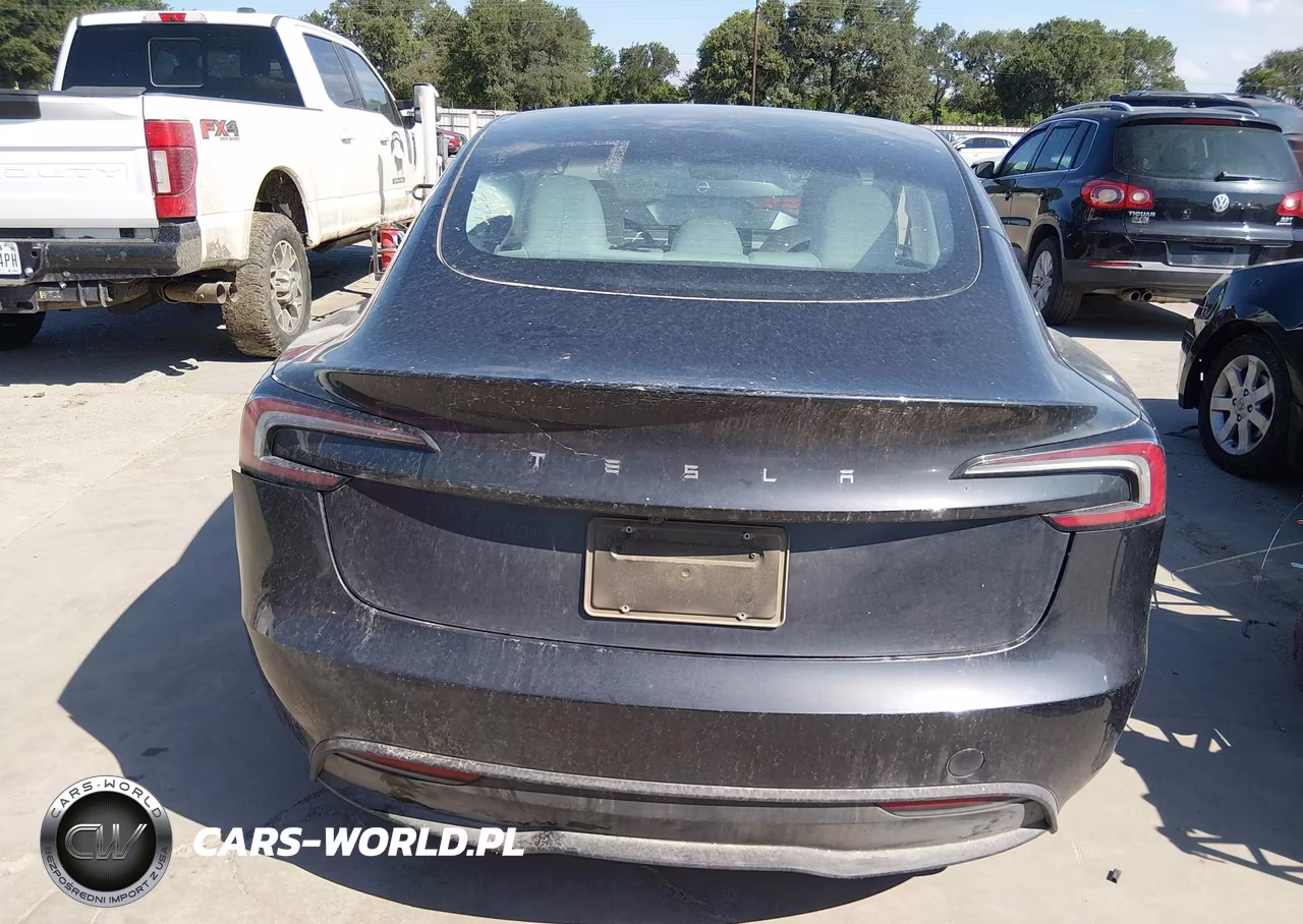 2025 Tesla Model 3 Long Range Rear-Wheel Drive-Standard Rear-Wheel Drive VIN:5YJ3E1EAXSF982792 - 16