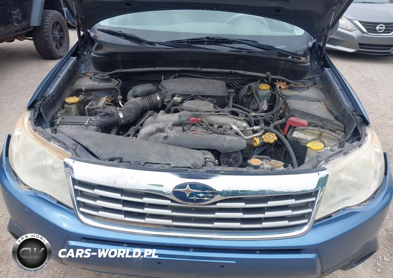 2010 Subaru Forester 2.5X Premium VIN:JF2SH6CC2AH784244 - 10